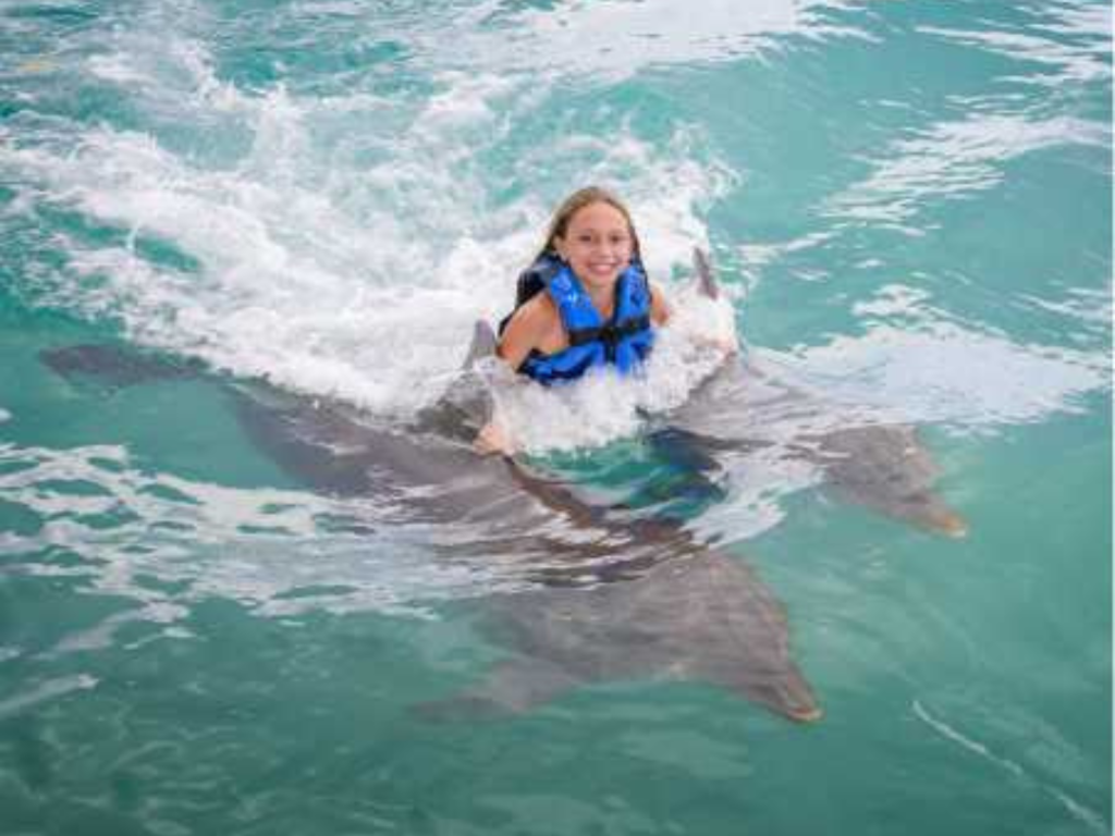 Dolphin Cove Brawta Living