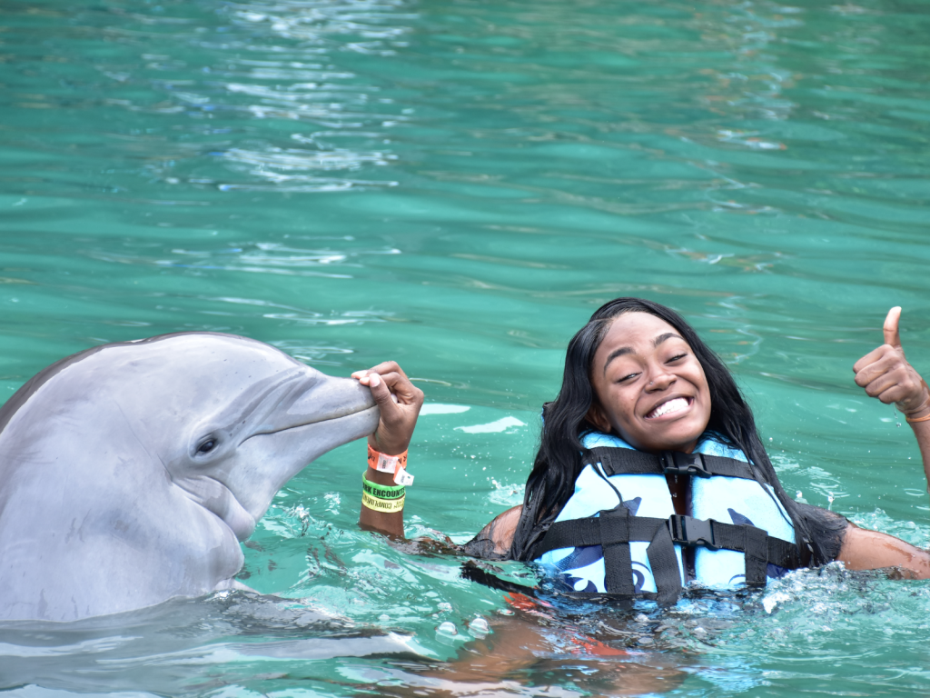 Dolphin Cove - Brawta Living